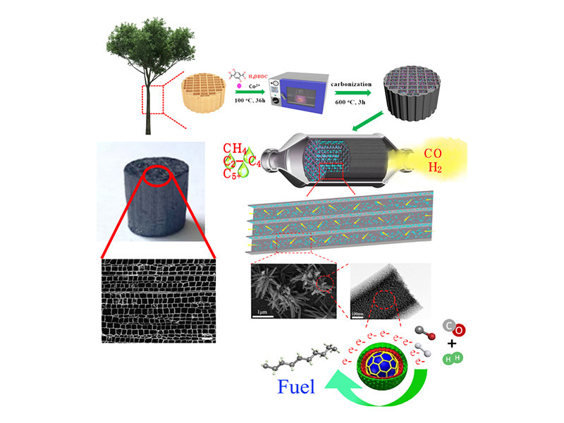 生物質基功能材料